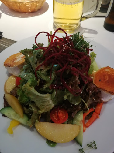 Bogenstraße 15, 48143 Münster