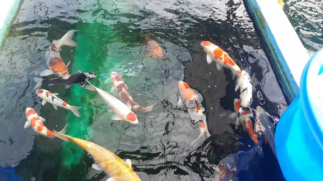 Josef Bertram GmbH - Meckenheim