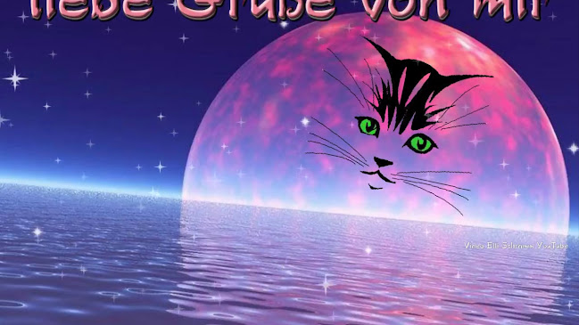 Hostaria & Pensione "da Marcello"