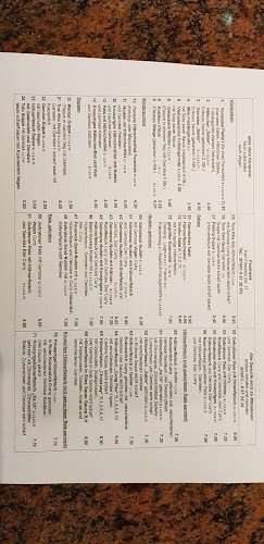 Comentarii opinii despre Feuerwok