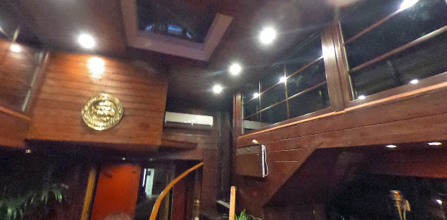 Roter Milan - Halle (Saale)