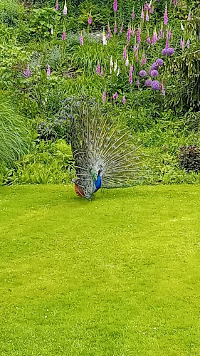 Auedamm 60, 34121 Kassel