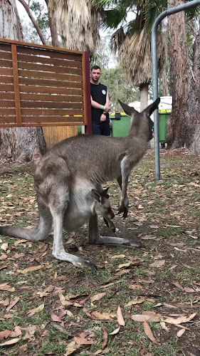 Paulsdamm 2, 19055 Schwerin