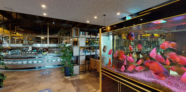 Comentarii opinii despre Yanida