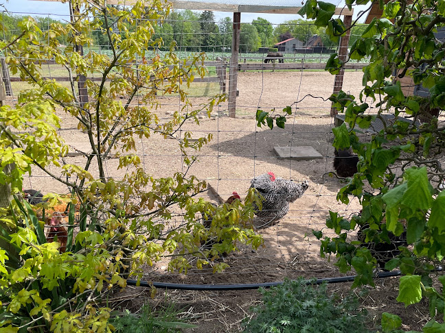 Heide-Café Bartels - Gastronomie und Hotellerie