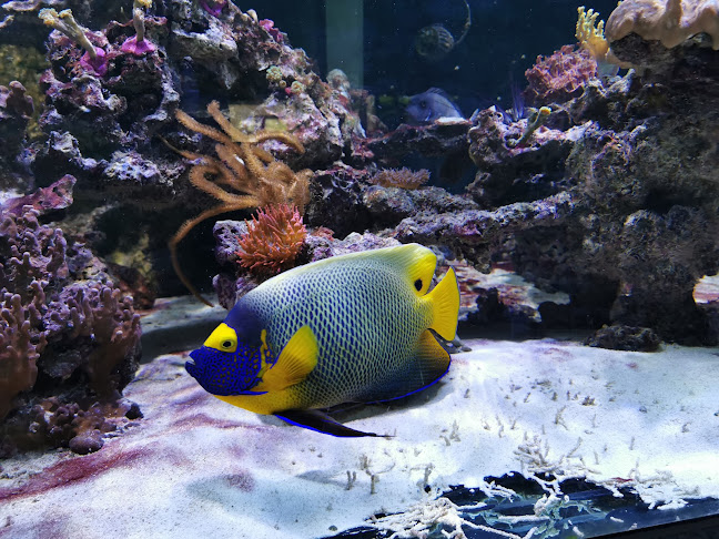 Nymphaeaweg 12, 73730 Esslingen am Neckar