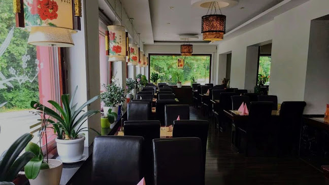 Mongolisches Grill-Restaurant “Asia-Palast“ - Hattingen