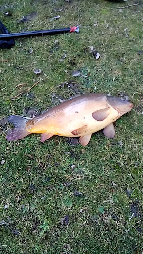 Schwanenteichallee 31, 99974 Mühlhausen/Thüringen