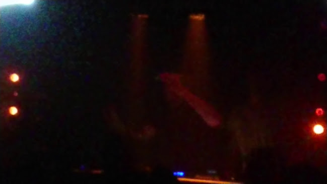 Opinii despre Schwarzes Schaf în Tübingen - Gastronomie und Hotellerie