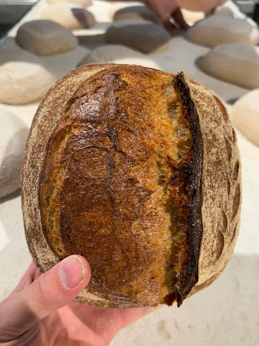 Opinii despre Till und Brot în Freiburg im Breisgau - Gastronomie und Hotellerie