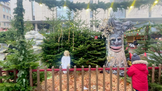 Comentarii opinii despre Der Thüringer