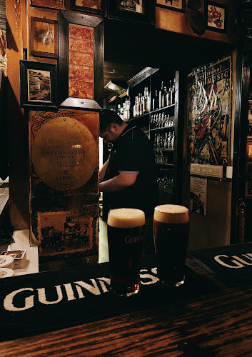 Comentarii opinii despre Irish Folk Pub aka "The Old Irish"