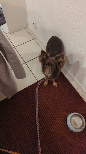 Opinii despre Veggie Vegan - Schneeweiss und Rosenrot în Goslar - Gastronomie und Hotellerie