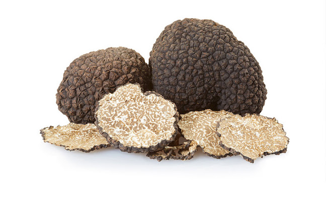 Wolfshagener Str. 87, 13187 Berlin