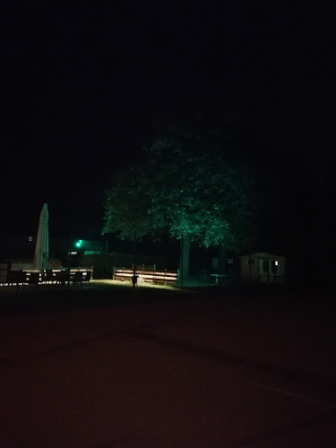 Comentarii opinii despre La Taverna