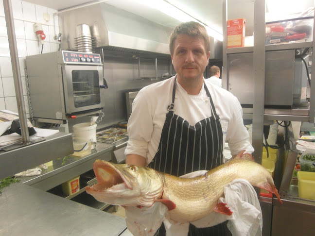 Comentarii opinii despre Fischer-Hütte