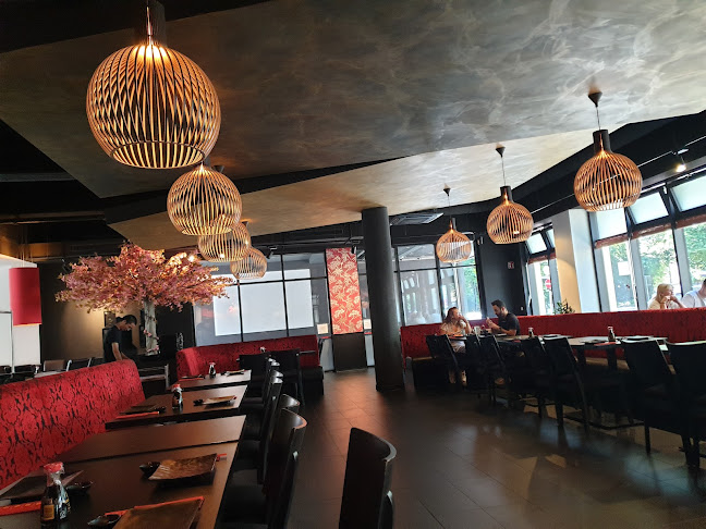 Comentarii opinii despre Ichiban Sushi-Grill-Restaurant