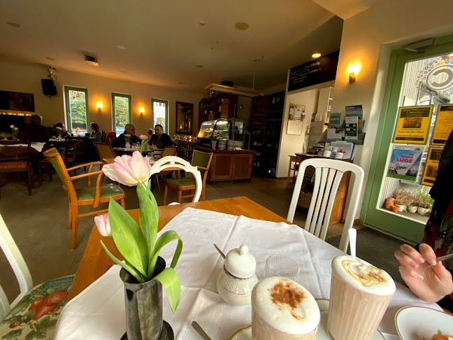 Café Chrysander - Gastronomie und Hotellerie