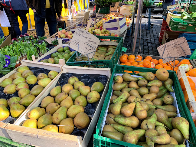 Opinii despre Markthaus am Wilhelmsplatz în Offenbach am Main - Gastronomie und Hotellerie