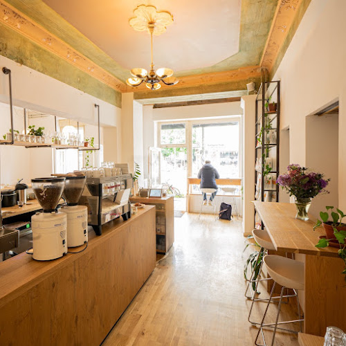 Comentarii opinii despre 19grams Boxi