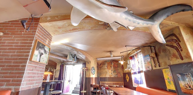 Comentarii opinii despre Down Under