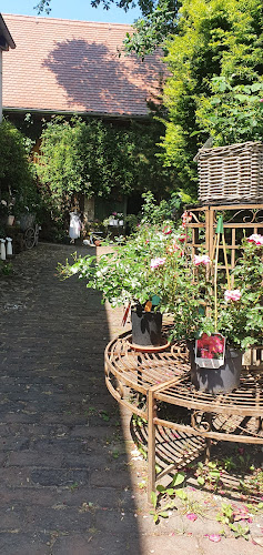 Rose'nei Antikcafé & Rosengarten - Ellen Mosert