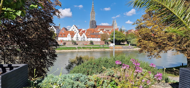 Comentarii opinii despre Restaurant Edwin.s