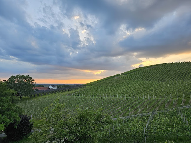 Springstraße 11, 77704 Oberkirch