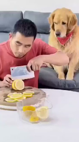 Opinii despre Gaststätte Reichsadler în Hameln - Gastronomie und Hotellerie