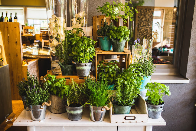 Fredrik - Saarbrücken - Gastronomie und Hotellerie