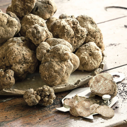 Schoenholz Brasserie