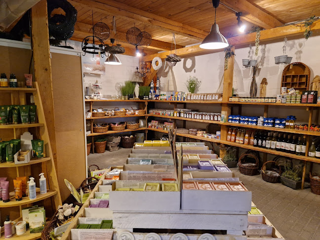 Redewischer Straße 23c OT, 23946 Ostseebad Boltenhagen