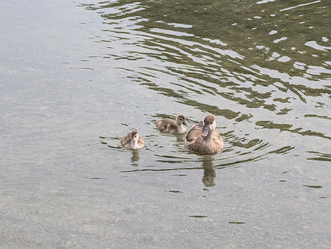 Seehaus im Englischen Garten - München