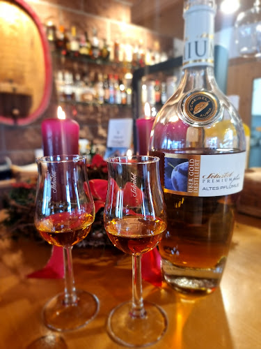 Gourmet-Restaurant & Weinberggarten SPRINGBRUNNEN Sklenar - Gastronomie und Hotellerie