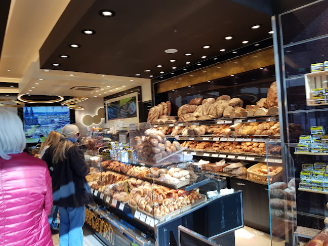 Comentarii opinii despre Merzenich in Bonn