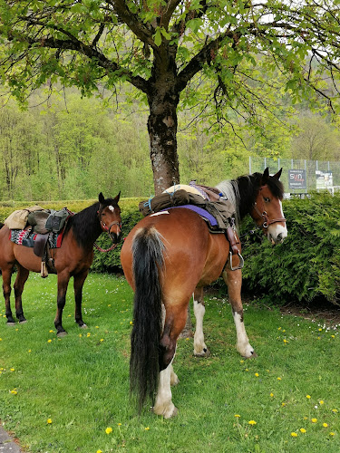 Comentarii opinii despre SC Speise- & Clubgaststätte