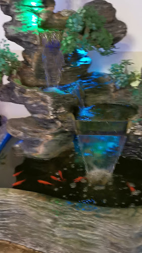 Opinii despre Wilhelmsburg Asia Modern în Lage - Gastronomie und Hotellerie