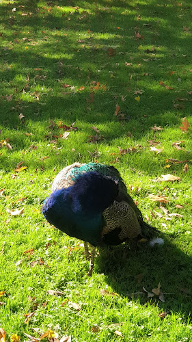 Café Siebenbergen - Kassel