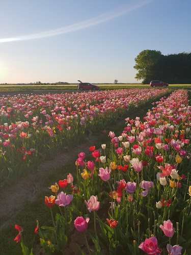 Paderborner Str. 79, 33154 Salzkotten