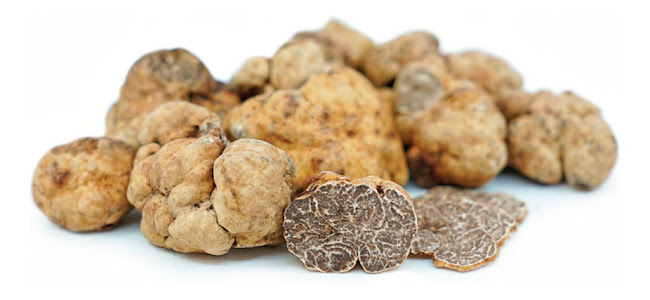 Opinii despre Schoenholz Brasserie în Berlin - Gastronomie und Hotellerie