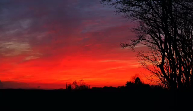 Glashaus Restaurant & Café Mettmann - Mettmann