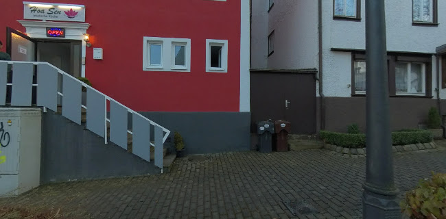 Hoa Sen - Asiatische Küche - Albstadt