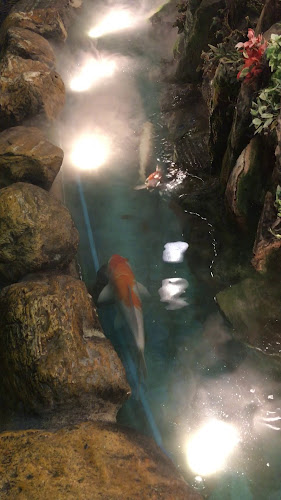 Comentarii opinii despre China-Restaurant Shanghai