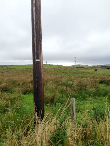 Opinii despre Ex Stereo Café now Cafe@Belstaff în München - Gastronomie und Hotellerie