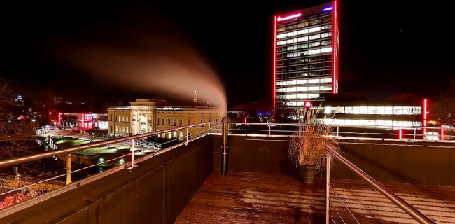 Comentarii opinii despre Flamingo Rosso