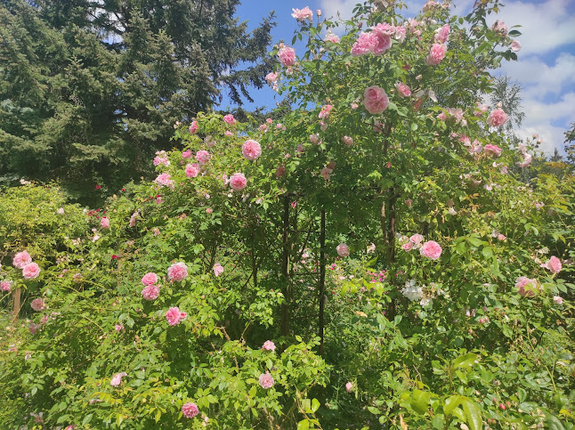 Birmenitz 5, 01623 Lommatzsch