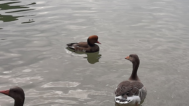 Kleinhesselohe 3, 80802 München