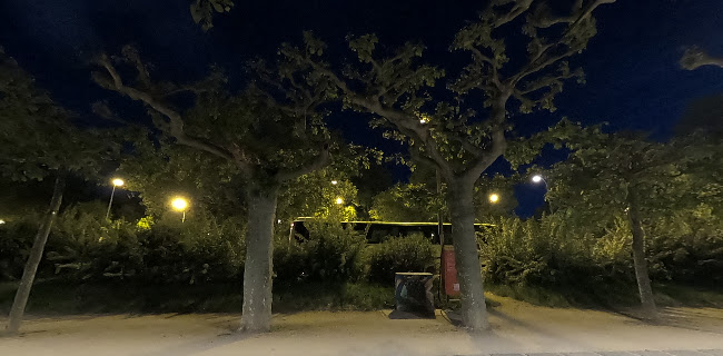 Adenauer-Ufer, 55116 Mainz