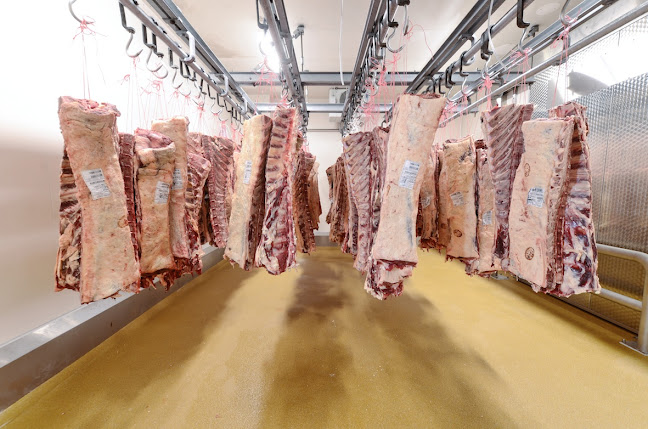 Opinii despre Peter Mattfeld & Sohn GmbH în Hamburg - Gastronomie und Hotellerie