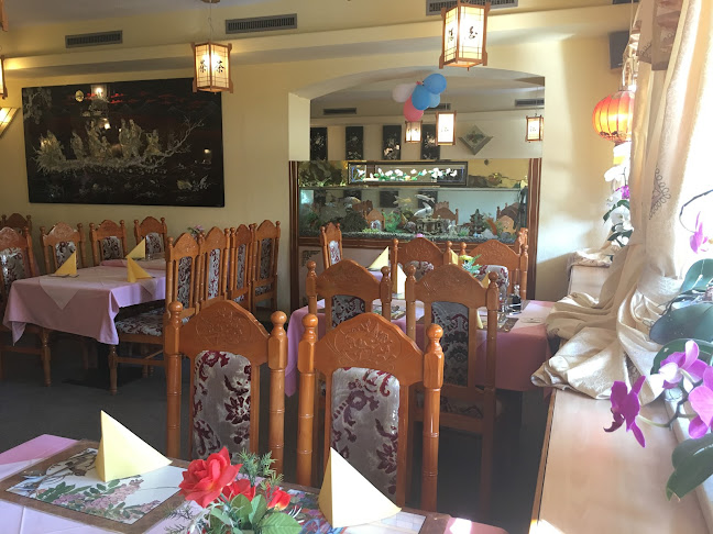 Opinii despre China-Town în Bautzen - Gastronomie und Hotellerie